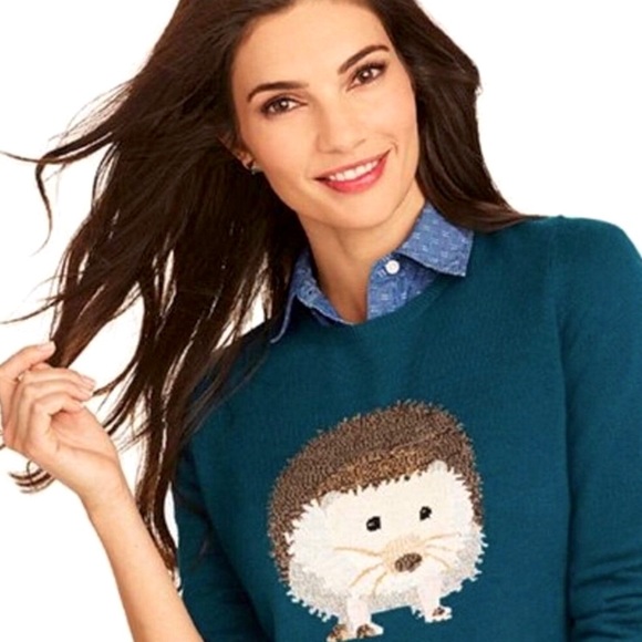 TALBOTS Adorable teal hedgehog sweater, size M - Picture 2 of 13